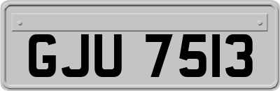 GJU7513
