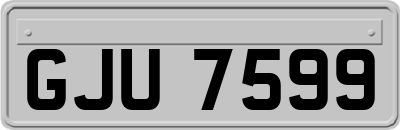 GJU7599