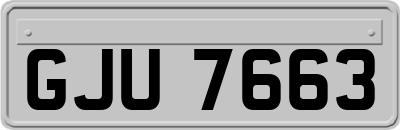 GJU7663