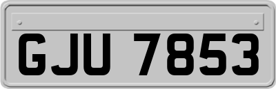 GJU7853
