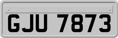 GJU7873