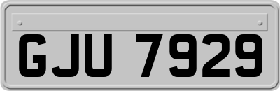 GJU7929