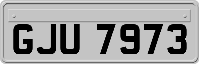 GJU7973