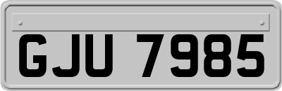 GJU7985