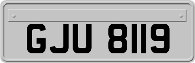 GJU8119
