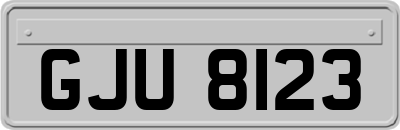 GJU8123