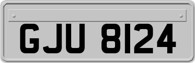 GJU8124