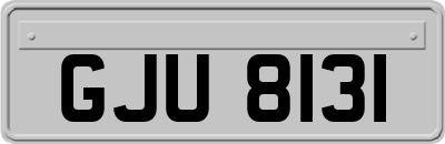 GJU8131