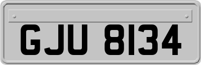 GJU8134