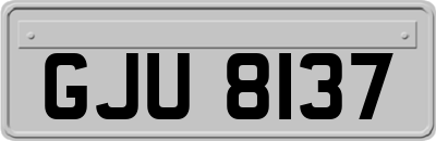 GJU8137