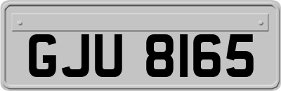 GJU8165