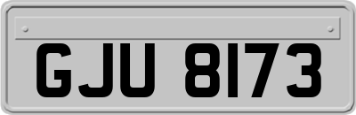 GJU8173
