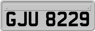 GJU8229