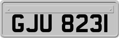 GJU8231