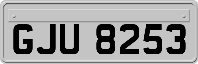 GJU8253