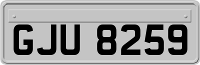 GJU8259