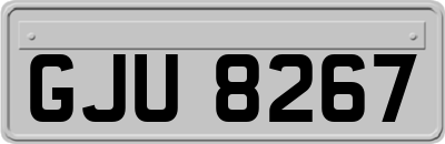 GJU8267