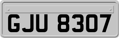 GJU8307