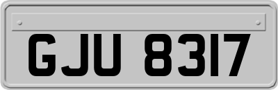 GJU8317