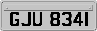 GJU8341