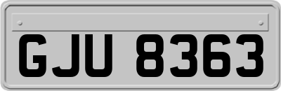 GJU8363
