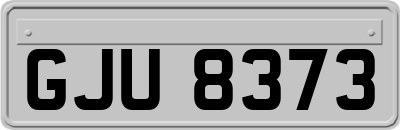 GJU8373