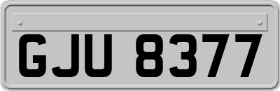 GJU8377