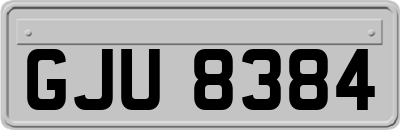 GJU8384