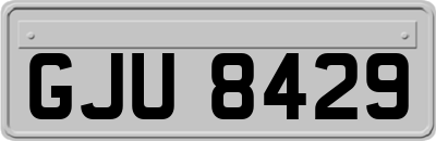 GJU8429
