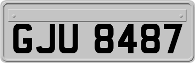 GJU8487
