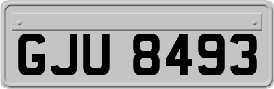 GJU8493
