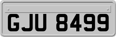 GJU8499