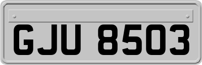 GJU8503