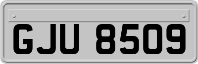 GJU8509