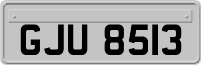 GJU8513