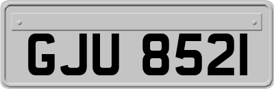GJU8521