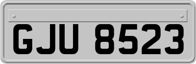 GJU8523