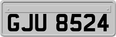 GJU8524