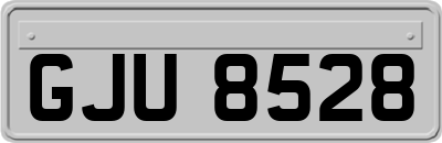 GJU8528