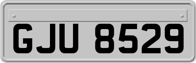 GJU8529