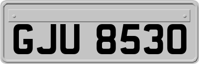 GJU8530