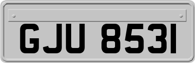 GJU8531