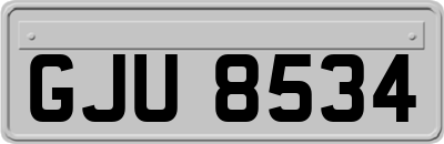 GJU8534