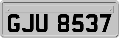 GJU8537