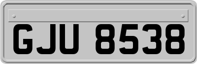 GJU8538
