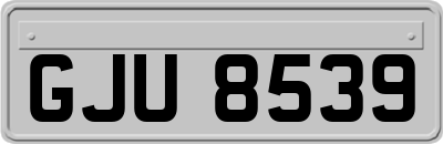 GJU8539