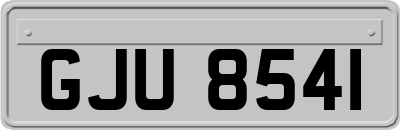 GJU8541