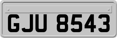 GJU8543