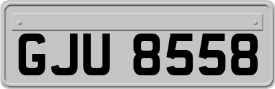GJU8558