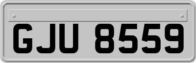 GJU8559